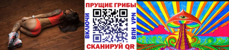 Галлюциногенные грибы Psilocybine cubensis  кракен сайт  Шлиссельбург  купить закладку 
